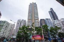 翠峰28