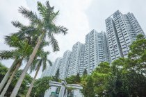 丽港城