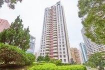Elm Tree Towers
