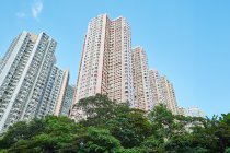 富澤花園
