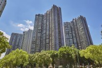Yat Nga Court
