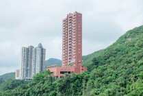 蔚峯園