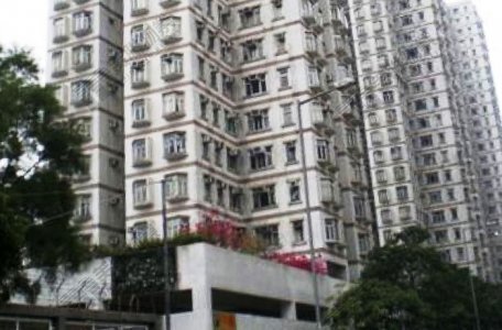 放盘短缺 睇楼两星期即入市 分支家庭斥530万元承接青衣伟景花园已补地价两房户