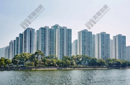 长情业主一手买入 持货逾40年 沙田第一城504实呎户538万元易手 帐面赚逾五球 呎价险守1万元关口