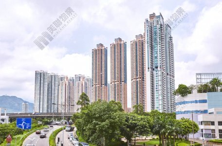 大角咀君汇港478实呎户  新婚夫妇以月租2.1万元承租 业主现享约2.6厘租务回报