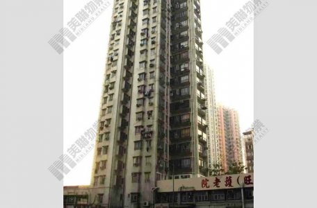 元朗好旺洋楼连平台特色户约371万元创新高