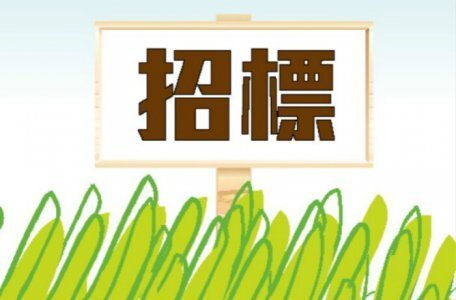 新盤專輯：元朗意花園推兩幢洋房標售