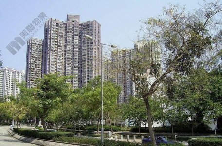 大埔逸雅苑385实呎户400万元易手 长情业主持货33年 自由市场放售