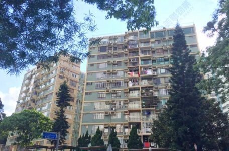 北角豐林閣1,260實呎戶  換樓客斥2,465萬元入市