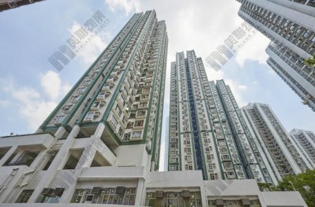 自住客斥376.8万元购屯门翠林花园330实呎两房户