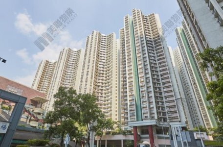 海怡半島錄本月首宗成交 租轉買用家斥628.8萬元承接