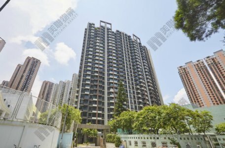 專才客睇好樓市 斥370萬元購入薈朗293實呎戶 原業主帳面虧損約41萬元離場