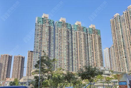 元朗大單位搶租潮 Grand YOHO高層2.95萬元即睇即租