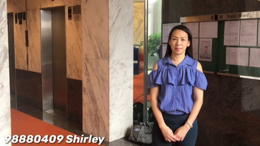 【代理Shirley推介】嘉兆臺3座低層A室