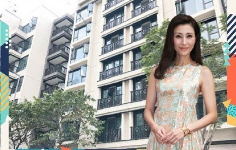 「大美人」李嘉欣斥逾501萬購何文田豪宅車位