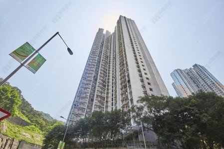 筲箕湾居屋东霖苑  绿表客460万元入市 2013年货升值逾6成