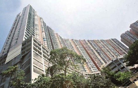 梁卓伟1618万沽碧瑶湾单位