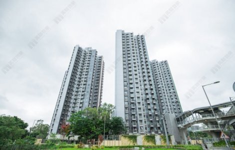 元朗朗屏8号录6月首宗成交  一房户获上车客还价 438万元易手