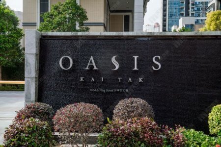 外區換樓客睇好後市 斥1,045萬元承接OASIS KAI TAK 2房