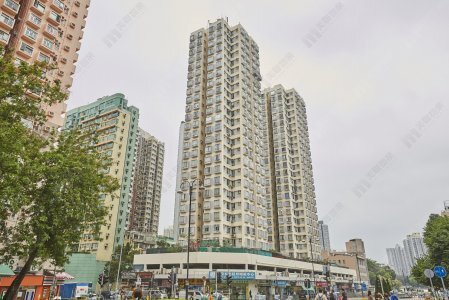大埔太和中心294实呎两房单位 笋价346万元沽出 1986年货升值13.8倍