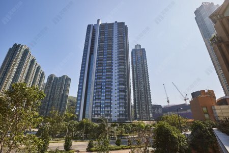 将军澳租务市场盛夏狂热 7月成交量飙升4成 康城站独领风骚 单月租务破300宗  学生及续租需求撑市