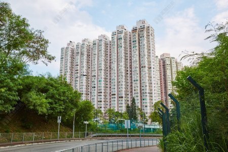 月供仅7,146元 “供平过租”效应持续 慈母“意头价”283.8万元购荃湾中心 赠儿作新婚居