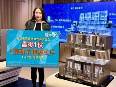 親海駅落實周六賣12伙　最後5伙特色戶招標發售
