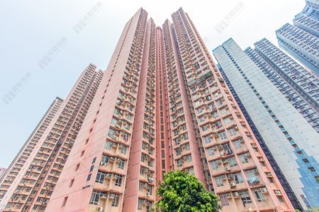 居屋交投向好 綠表客斥460萬元購入將軍澳廣明苑3房戶
