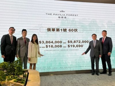 柏蔚森I首批60伙　折實平均呎價17188元　入場費386萬