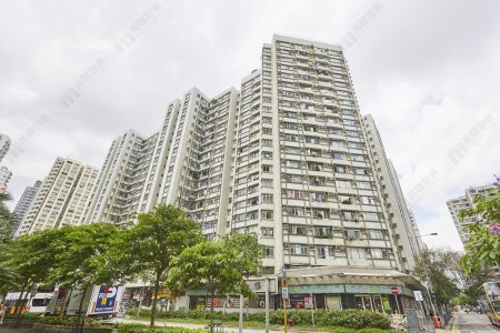 鲤景湾666实呎三房租盘  同区客2.8万元月租承接 2019年货租金回报近3厘