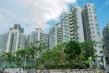 新盤效應 蝶翠峰509實呎戶獲上車客428萬元入市