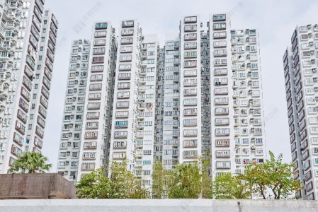 港漂学生租赁需求急增 沙田市中心7月共录135宗交投 按年增加50% 好运中心348实呎放盘即日以月租15,500元租出