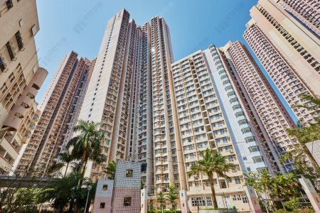 粉岭居屋雍盛苑两房户 绿表客360万元承接  千禧年货升值逾3倍