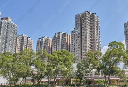 大埔宝湖花园561实呎603万元沽出 区内分支家庭增持方便照应