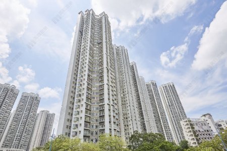 【嘉湖山莊 租買攻略】呎價走勢、平面圖、校網、FAQ｜全面解構嘉湖山莊的優點與缺點