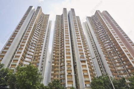 【海怡半島 租買攻略】呎價走勢、平面圖、校網、FAQ｜全面解構海怡半島的優點與缺點