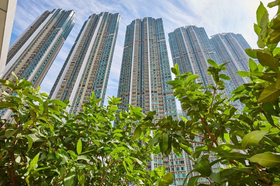 Lohas Park - Lohas Park - Flat A, 5/F, Tower 2 L (Emerald), Hemera  (NO2024021424021400480017), Property Transaction