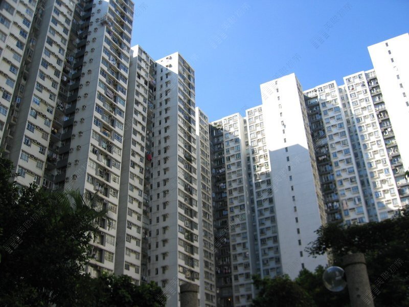 城市花園
