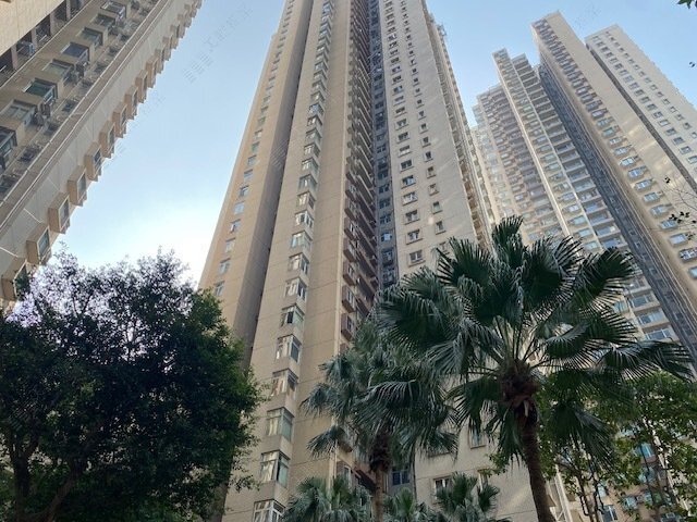 Harbour Heights
