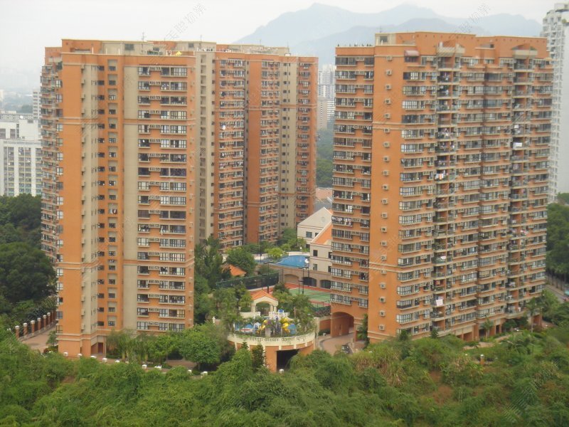 聚龍居