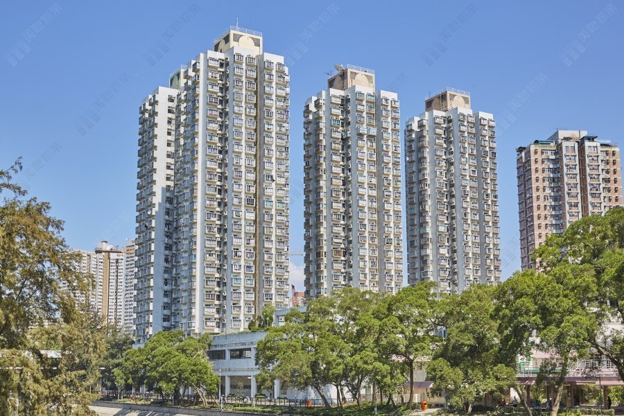 大埔中心