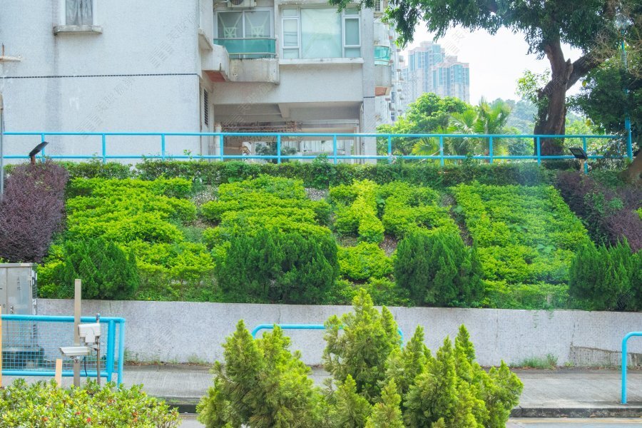 豪景花園