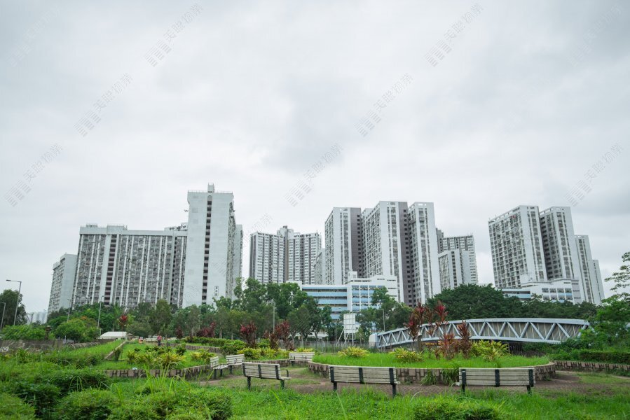 Long Ping Estate