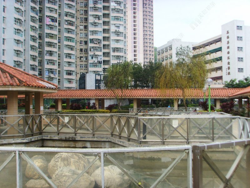 華明邨- 粉嶺/ 粉嶺北/ 沙頭角/ 打鼓嶺| 屋苑專頁| 美聯物業