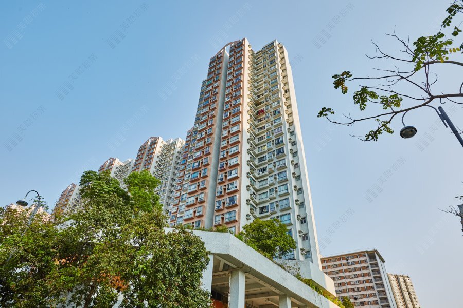 粉嶺名都
