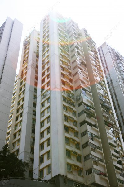 Comfort Gardens