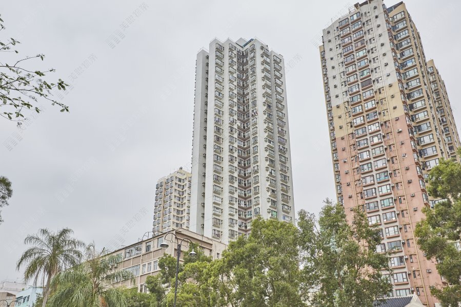 丽和阁