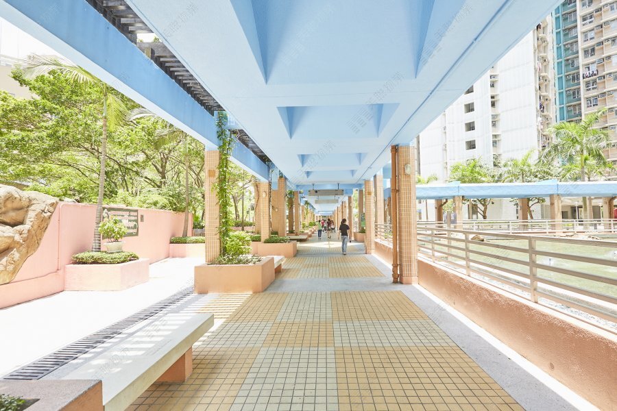 Tin Shing Court