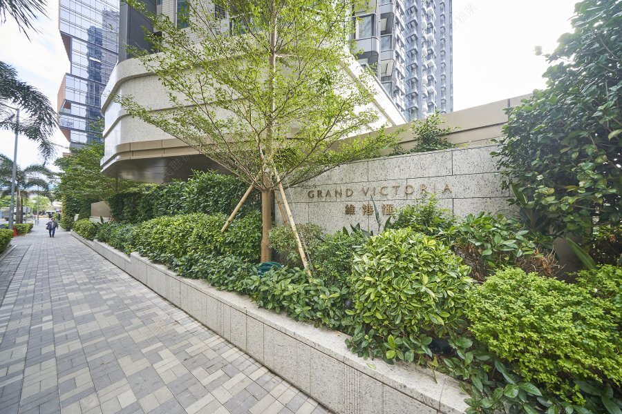 維港匯