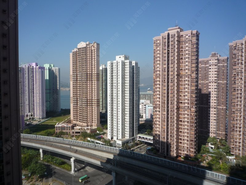 新港城